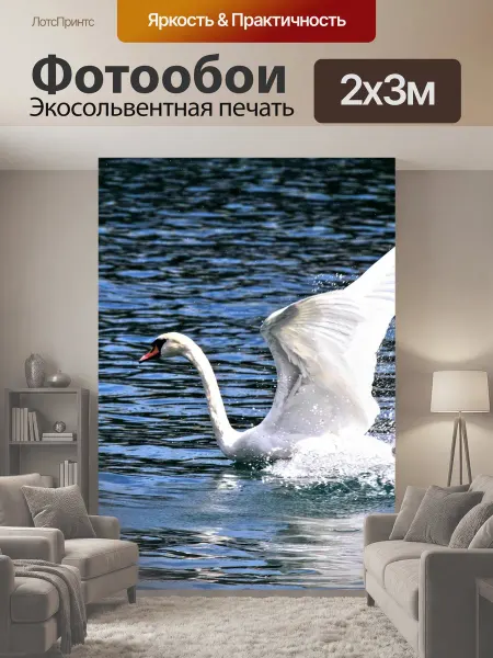 LotsPrints Фотообои "Лебедь, птица, животное" 2x3м