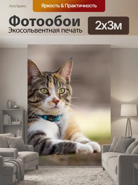 LotsPrints Фотообои "Животное, милый, природа" 2x3м