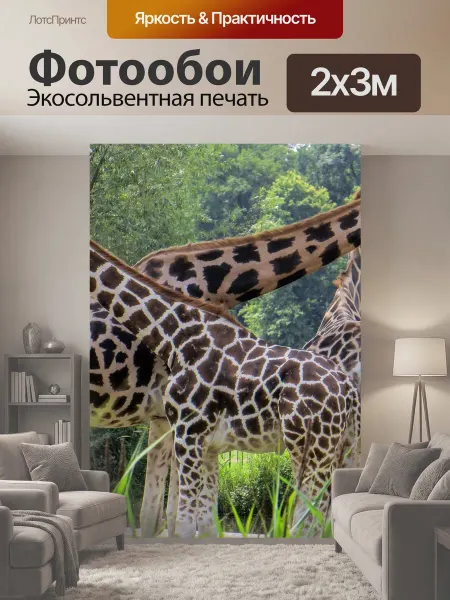 LotsPrints Фотообои "Жирафы, животные, шея" 2x3м