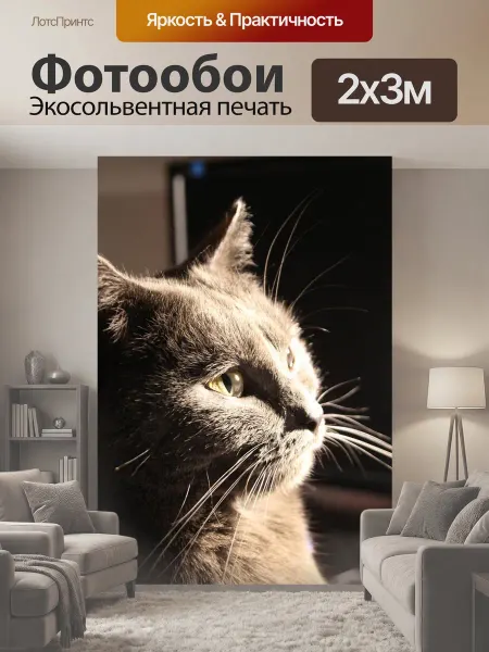 LotsPrints Фотообои "Шартреза, кот, животные" 2x3м