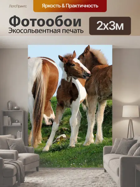 LotsPrints Фотообои "Природа, животные, лошади" 2x3м