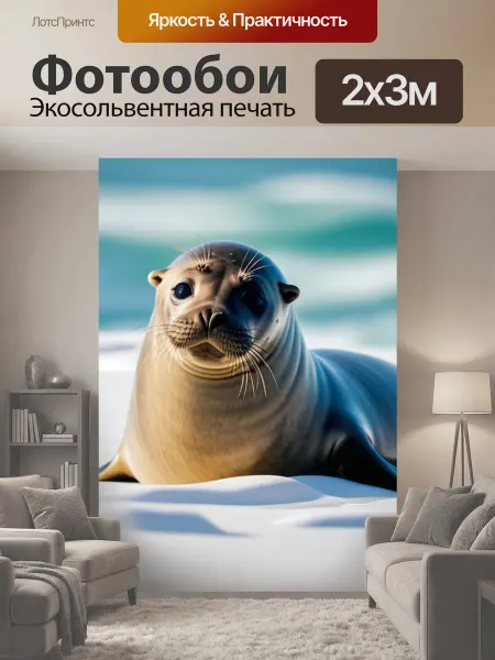 LotsPrints Фотообои "Милый тюлень животные" 2x3м