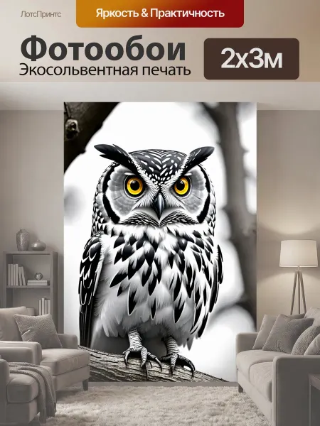 LotsPrints Фотообои "Животные в стиле черно-белый сова." 2x3м