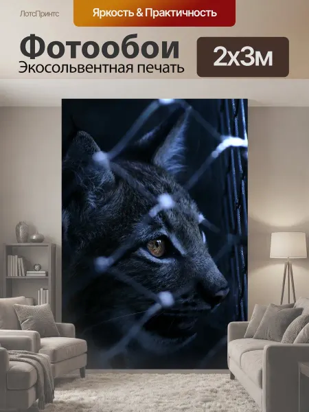 LotsPrints Фотообои "Рысь, пойманный, заперто" 2x3м