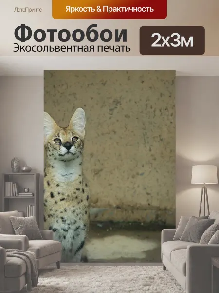 LotsPrints Фотообои "Сервал, ягуар, хищный зверь" 2x3м