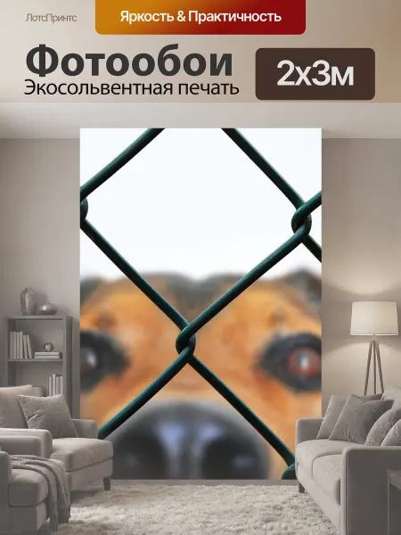 LotsPrints Фотообои "Собака, изгородь, сетка" 2x3м