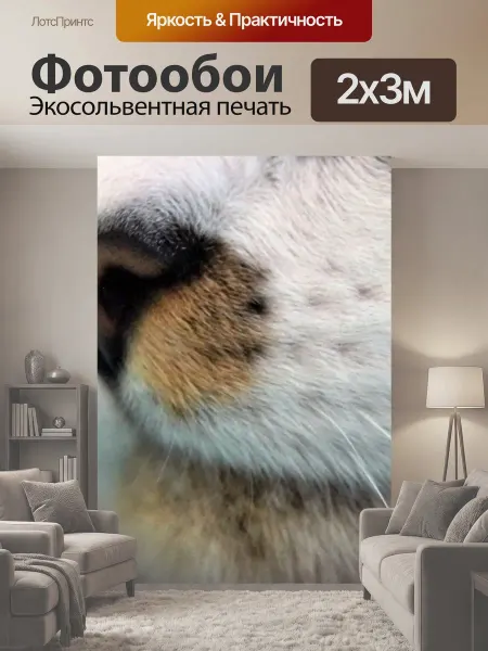 LotsPrints Фотообои "Нос кота красивый нос кошки кот нос." 2x3м