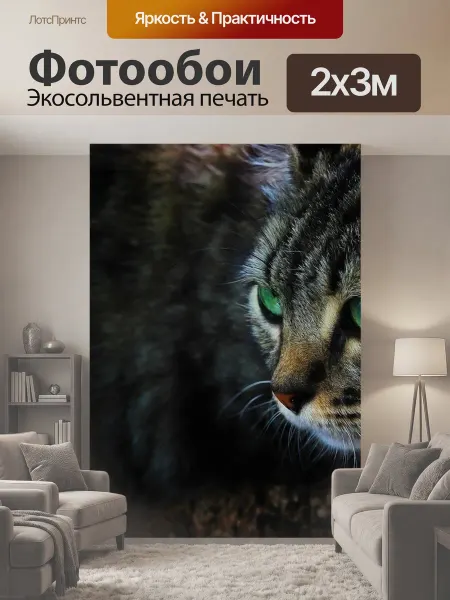 LotsPrints Фотообои "Кот, кошачий, талисман" 2x3м