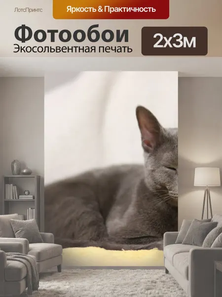 LotsPrints Фотообои "Кошка, русская голубая, кот" 2x3м
