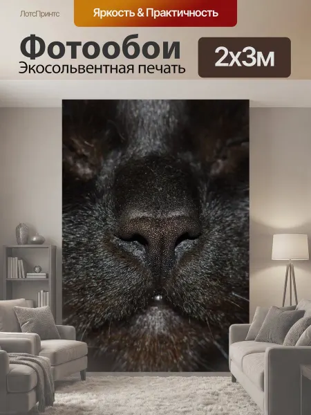 LotsPrints Фотообои "Кот, кошка, черный" 2x3м