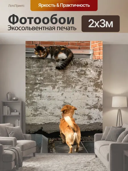 LotsPrints Фотообои "Собака, кот, рычать" 2x3м