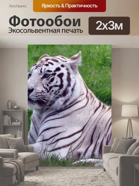 LotsPrints Фотообои "Кошка, тигр, белый" 2x3м