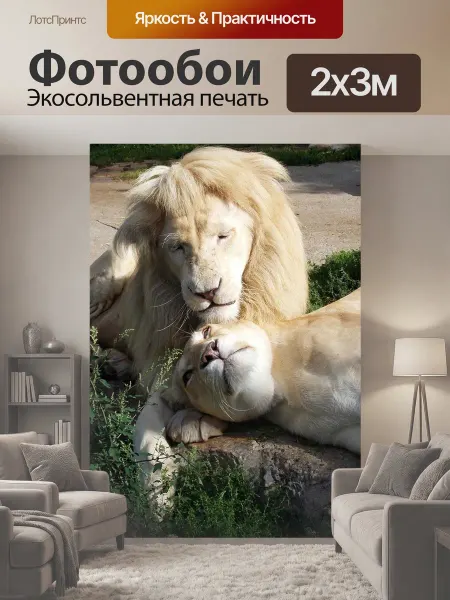 LotsPrints Фотообои "Белый лев, львы, львица" 2x3м