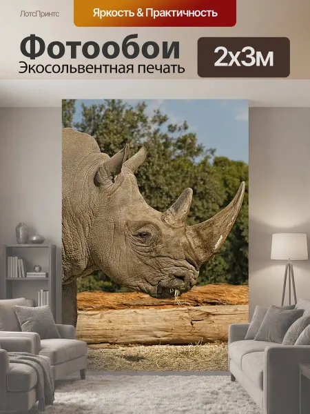 LotsPrints Фотообои "Носорог, млекопитающее, травоядный" 2x3м