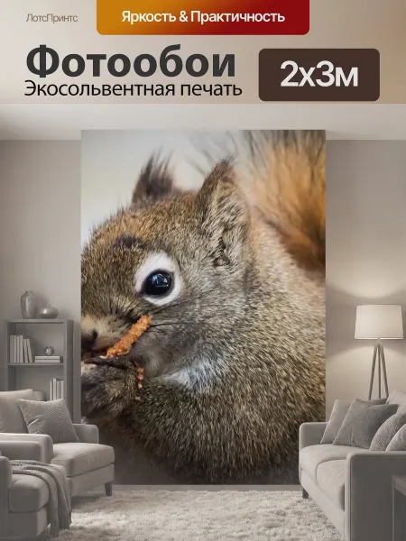 LotsPrints Фотообои "Белочка Портрет Белки белка обыкновенная." 2x3м