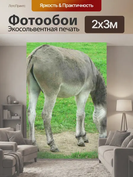 LotsPrints Фотообои "Осел Осле в детской ферма осле ферма" 2x3м