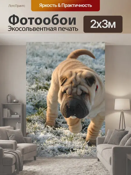 LotsPrints Фотообои "Собака, щенок, шар-пей" 2x3м