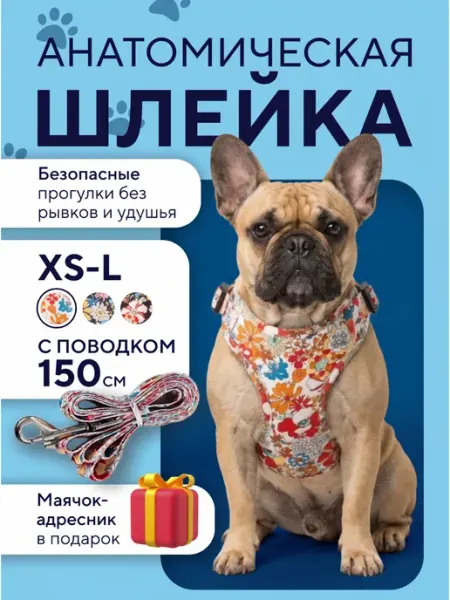 4P Шлейка для собак средних и мелких пород с поводком