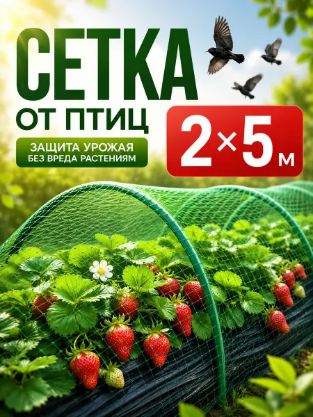 ЧЗМ Cетка от птиц для защиты урожая 2*5м