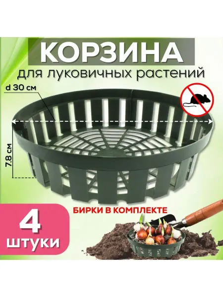 FormeTu-StPlast Корзина для луковичных цветов, 4 штуки зеленые