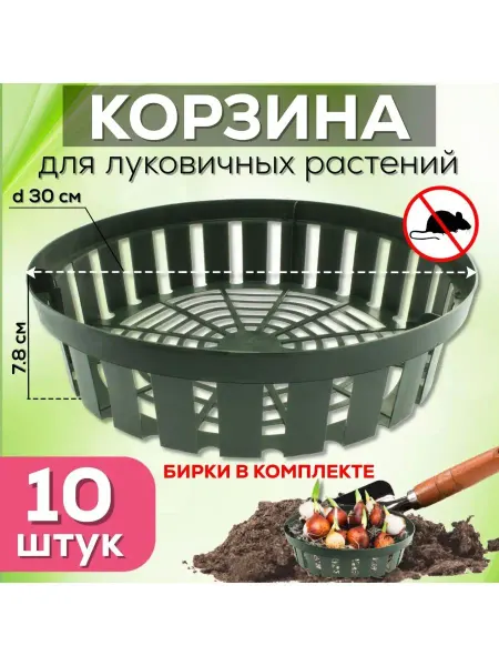 FormeTu-StPlast Корзина для луковичных цветов 10 штук, зеленый