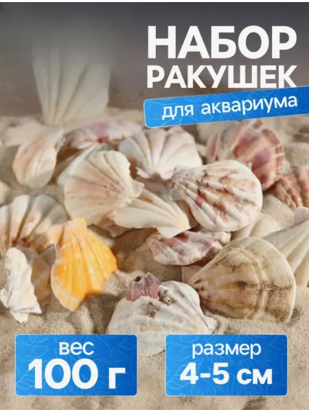 Набор ракушек для аквариума флорариума разноцветных