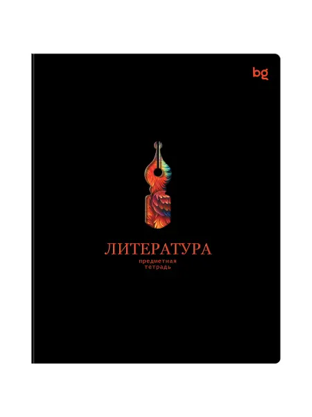 Тетрадь 48л Литература Информационное поле 63877 BG 2шт