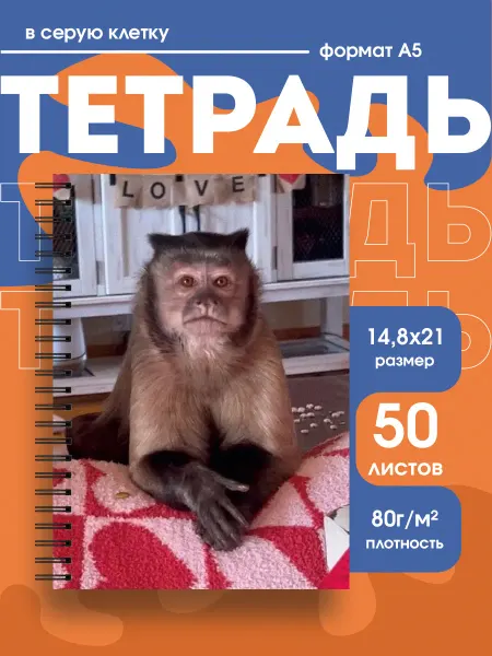 Бумажный гусь Тетрадь в клетку милая обезьяна