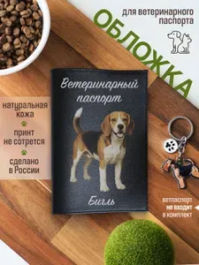 Обложка на ветеринарный паспорт для собак Бигль