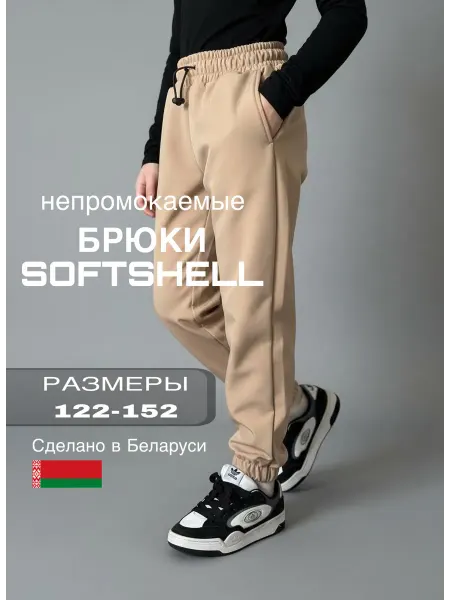 DINLI Брюки мембранные непромокаемые СОФТШЕЛЛ утепленные деми