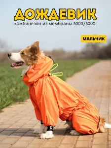 Комбинезон-дождевик для собак "Торнадо", 55 М/4XL, мужской, апельсин