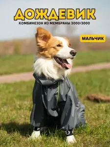 Комбинезон-дождевик для собак "Торнадо", 55 М/4XL, мужской, графит