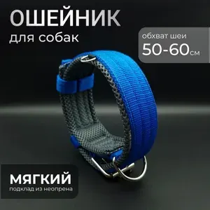 Ошейник 5см васильковый с серым подкладом 50-60 см