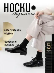 Носки АЛЬША мужские мужские хлопок, 5 пар