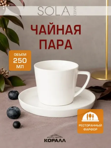 Коралл Чайная пара подарочная фарфор 250 мл Sola_NEW