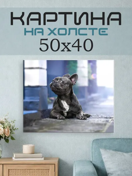 ПринтСтори Картина на стену 50x40 Французский бульдог