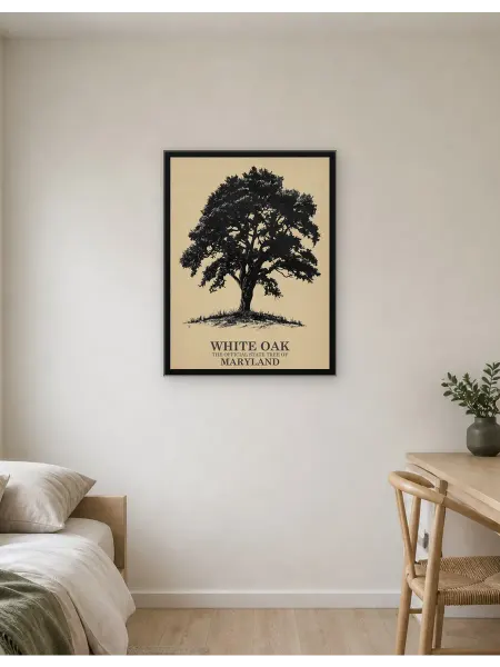 Postersbase Арт-постер Дерево штата Мэриленд Белый дуб 30x40
