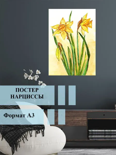 Just4you Постер А3 ' Нарциссы '