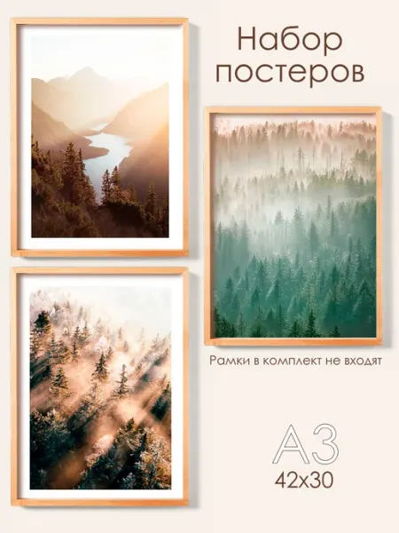 Posterin Постеры интерьерные, Набор постеров Лес