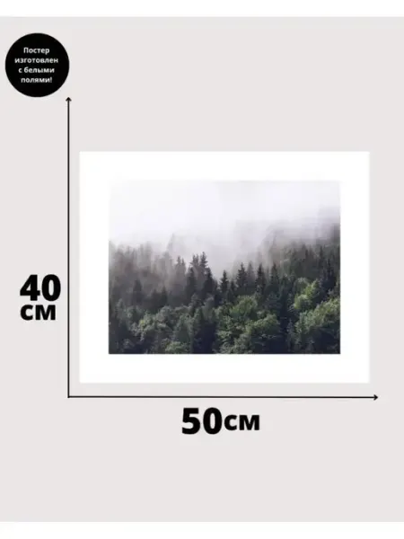 POSTERS.RU Постер лес осенний пейзаж в тубусе