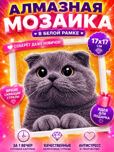TOP_ONLY Алмазная мозаика детская серый британский котик в дорогу