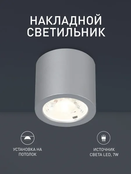 FAVOURITE Светильник потолочный спот накладной светодиодный 2808-1C