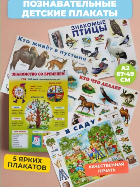 ЛИНГ Набор 5 больших обучающих плакатов для дет сада и школы