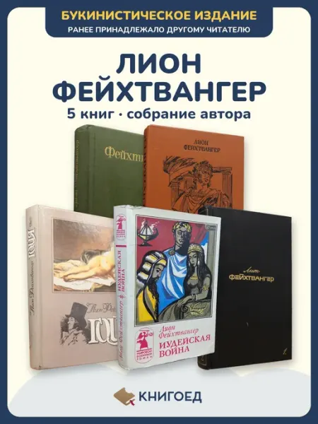 Книгоед Фейхтвангер повести 5 книг исторические романы букинистика