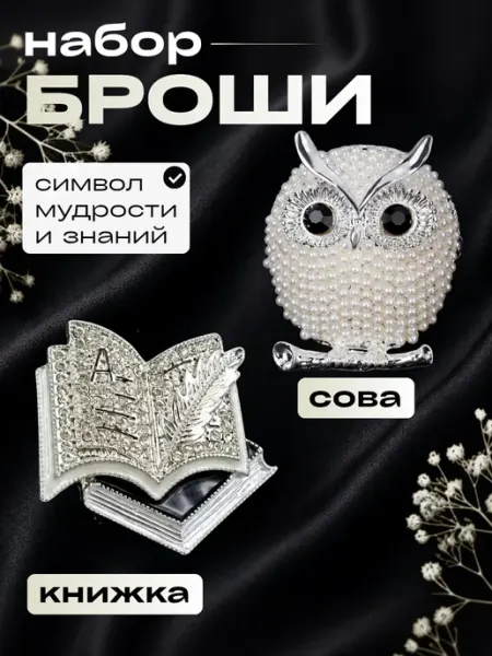 Брошь сова, книга