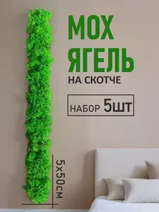 Лента / полоска из стабилизированного мха Ягель, настенное Панно размер 50*5 см, для озеленения интерьера. Набор из 4 штук.
