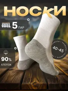 Носки 200Ка мужские Носки , 5 пар