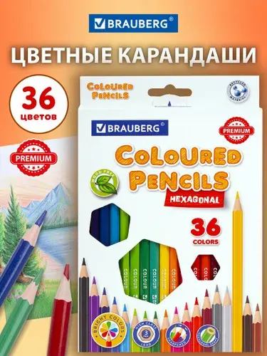 Карандаши цветные Brauberg Premium, 36 цветов, ударопрочные, шестигранные, грифель 3 мм