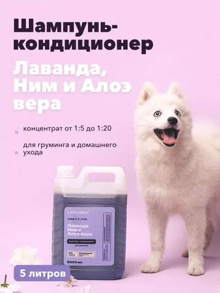 LISSILANDIA Шампунь концентрат для глубокой очистки с кондиционером 5л