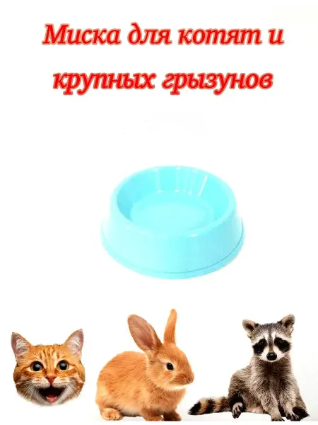ЗооЛарец Миска для котят и крупных грызунов 0,07 л (1 штука)